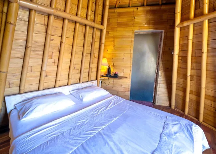 招待所 Bamboo Mount Batur And Hot Spring 3*