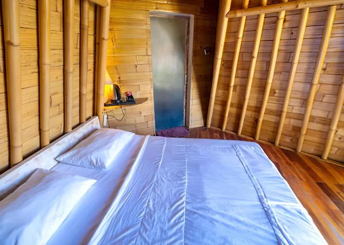 Bamboo Mount Batur And Hot Spring 3*