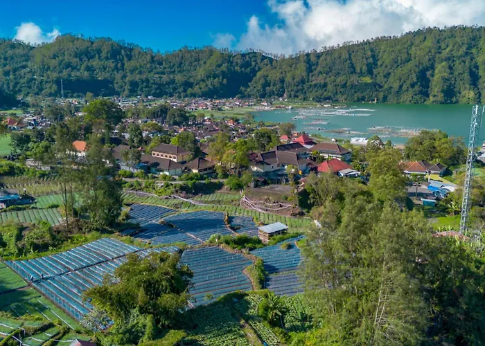 Bamboo Mount Batur And Hot Spring 3*